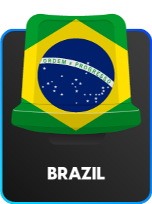 Brazil football