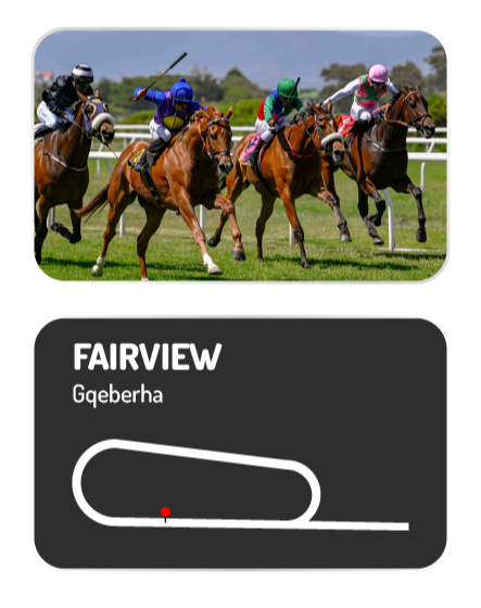Horse racing track