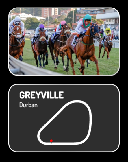 Horse racing feature