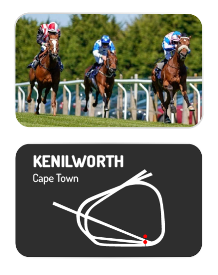 Horse racing card